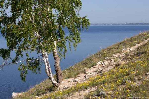 Природа Самарского края Волга