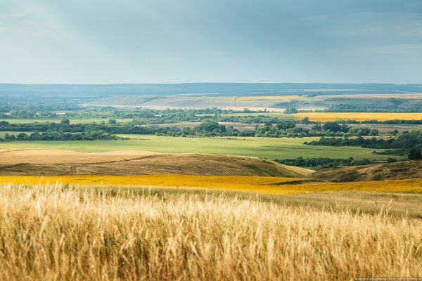 Кинель Самарская природа