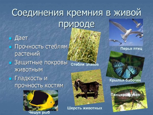 Разновидности минералов кремния
