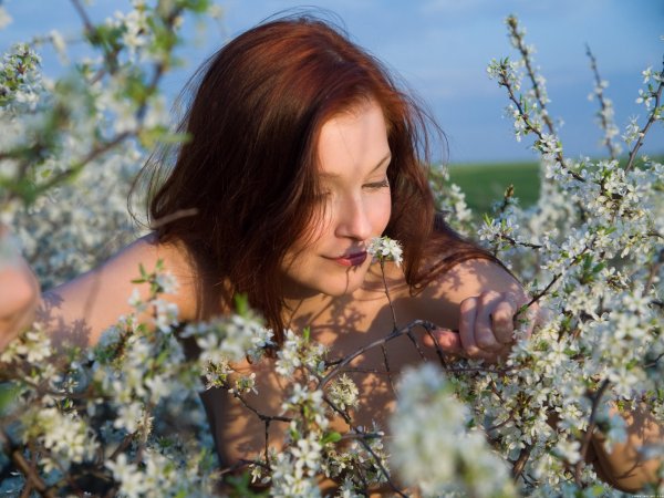 Елена Толмачева Краснодар