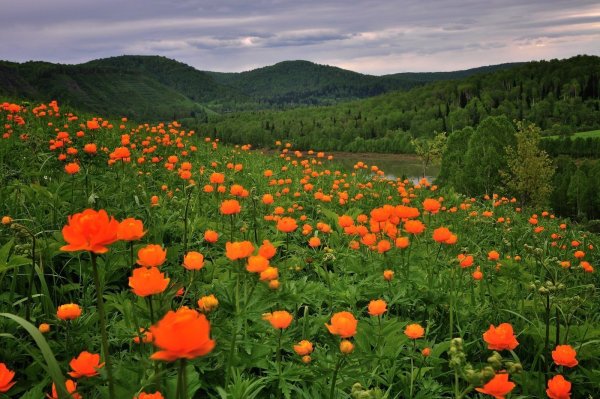 Кузнецкий Алатау Междуреченск