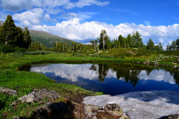 Кузбасс пейзаж на закате