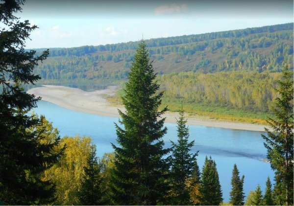Природа Кузбасса Кемерово
