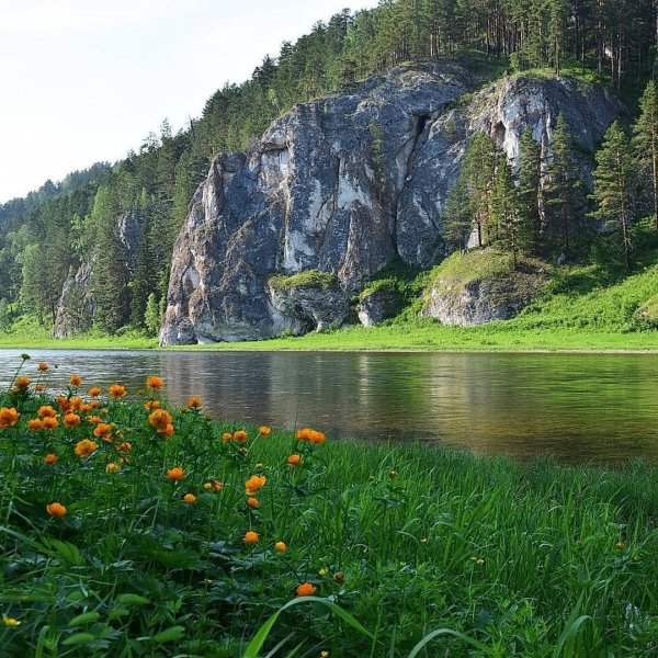 Кузнецкий Алатау Флора