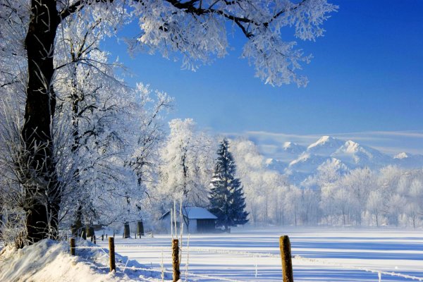 Зимняя природа