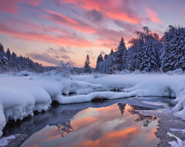 Зимняя природа