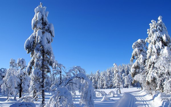 Зимний пейзаж