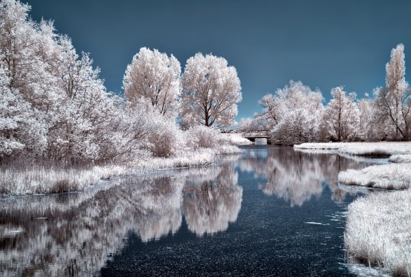 Зимняя природа