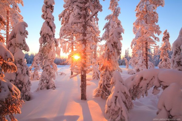 Февральский пейзаж