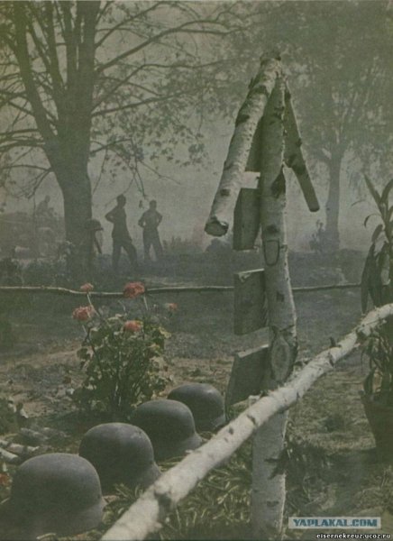 Андрей Петрович Горский