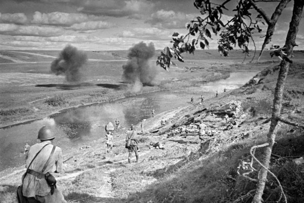 Лоси и олени на войне 1941-1945