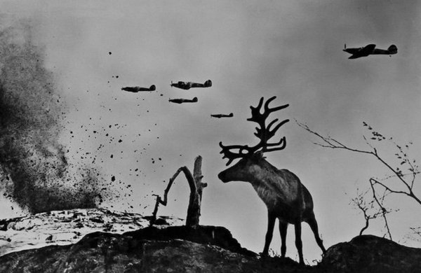 Отечественная война 1941-1945