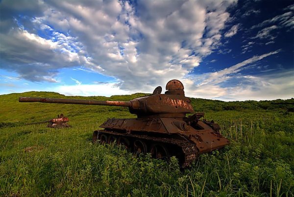 Война и природа