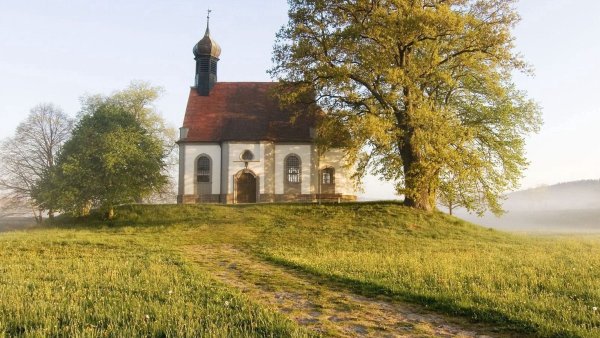 Атмосферные домик в лесу