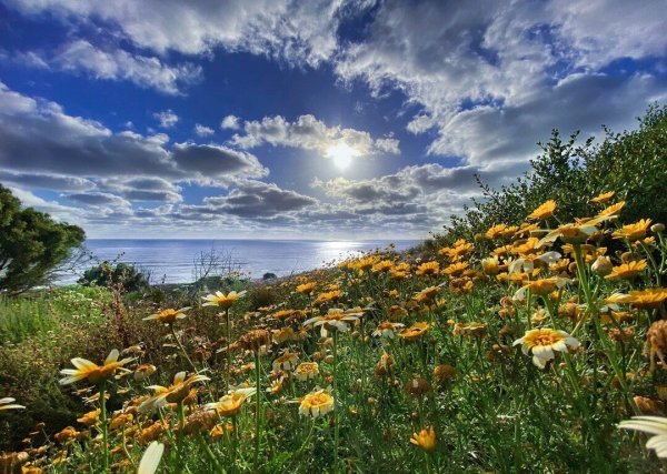 Доброе утро природа красота Дикая