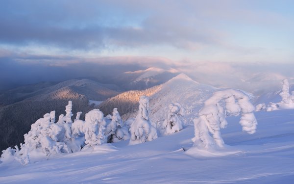 Гора Снежная Камчатка