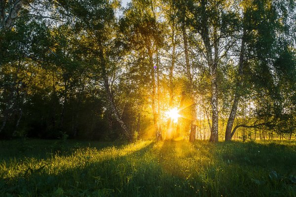 Утреннее Весеннее солнце