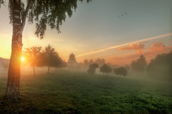Светлое солнце