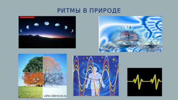Линейные ритмы в природе