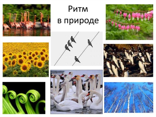 Ритм в природе и искусстве