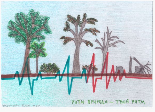 Природа ритм композиция