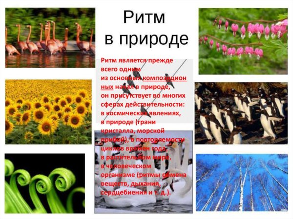 Волнистые линии в природе