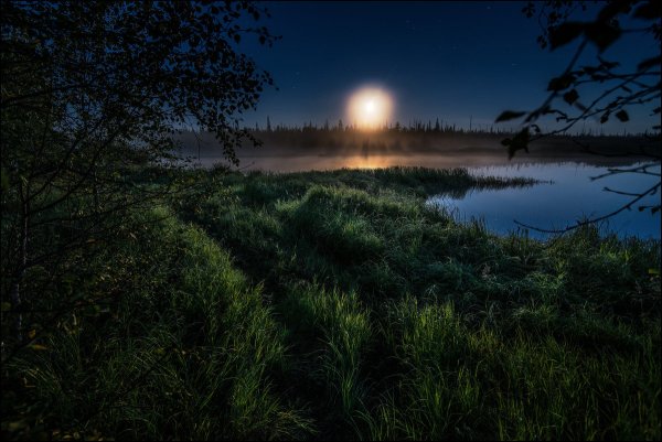 Ночное озеро с луной