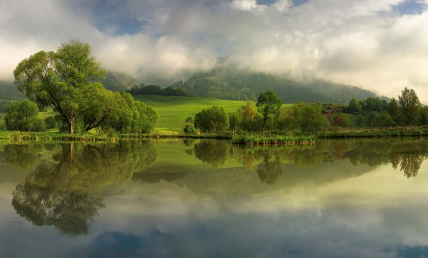 Май природа река