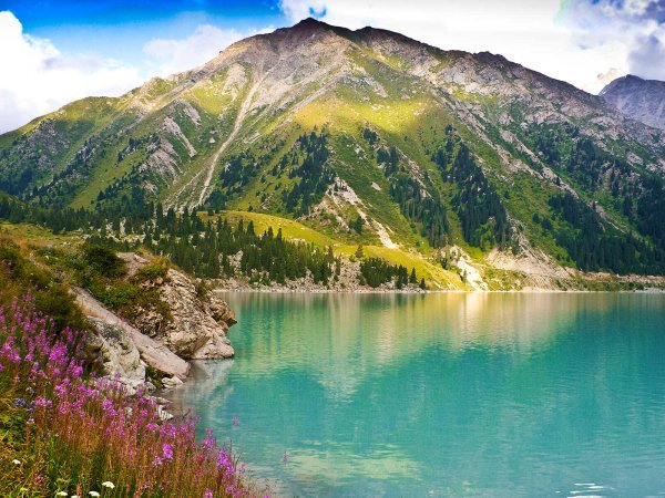 Казахстанская природа