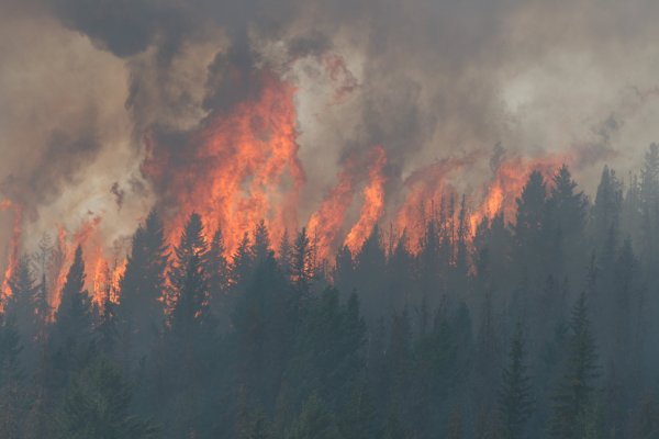 Небольшой Лесной пожар