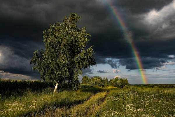 Осень река туман