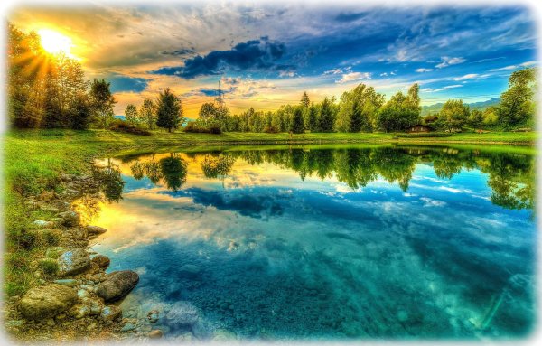 Природа лес вода