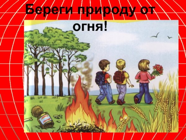 Пожарная безопасность в лесу для детей