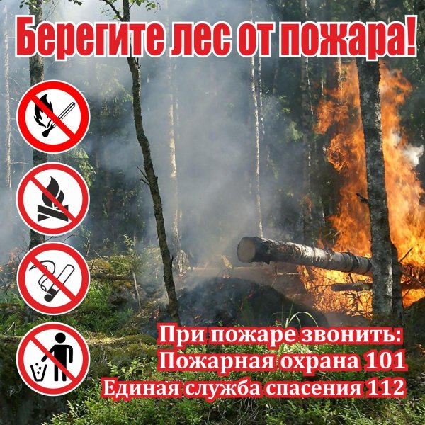 Безопасность с огнем в лесу