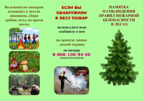 Пожарная безопасность в лесу для детей
