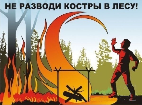 Правил пожарной безопасности в лесах