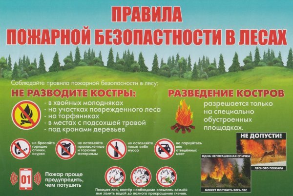 Безопасность детей в летний период