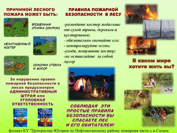 Пожарная безопасность в лесу