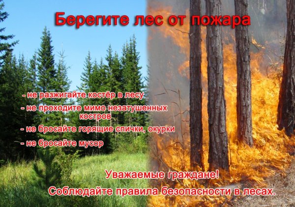 Правила пожарной безопасности на природе для дошкольников