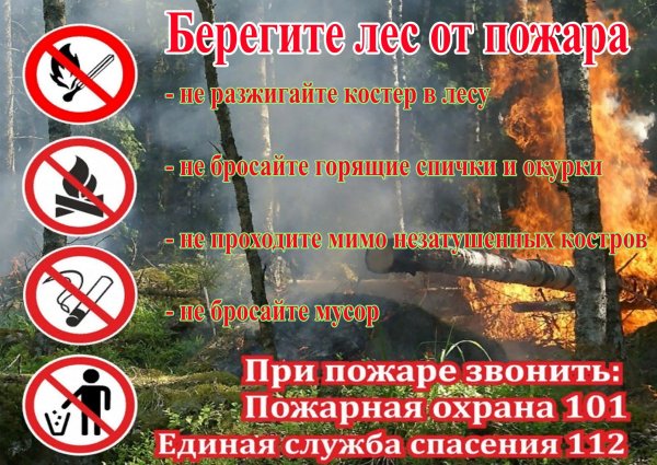 Пожарная безопасность в лесу для детей