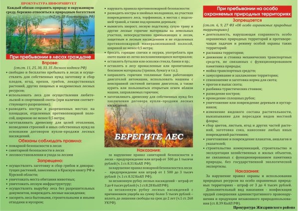 Противопожарные плакаты в лесу