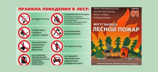Лесные пожары плакаты