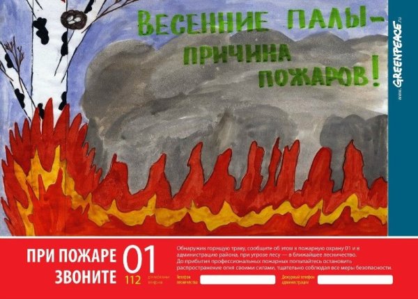 Противопожарные аншлаги в лесу