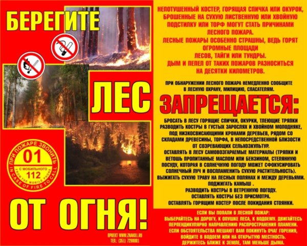 Пожарная безопасность в лесу