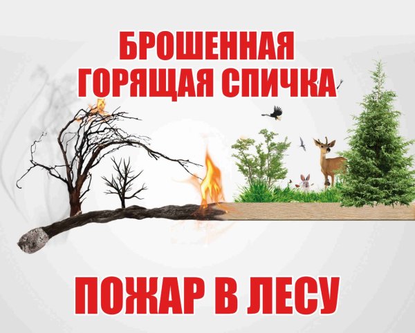 Пожарная безопасность в лесу для детей