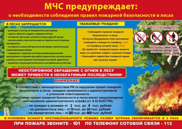 Берегите лес