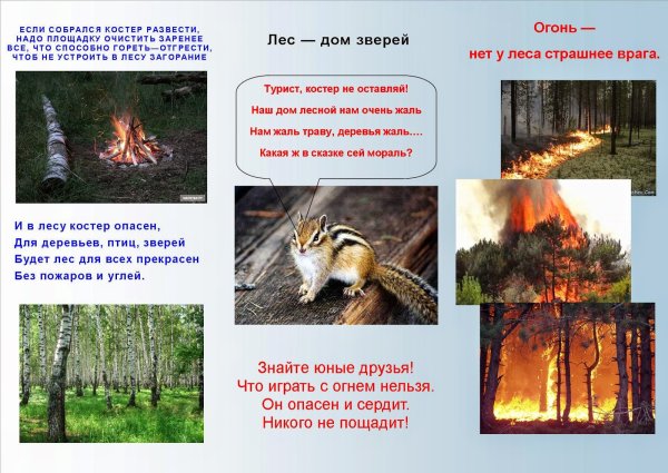Плакат на тему безопасность в лесу