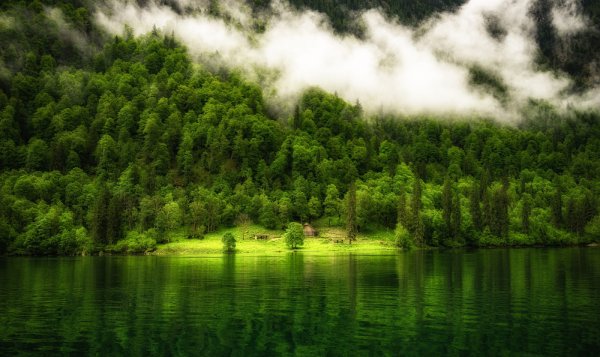 Красивая природа