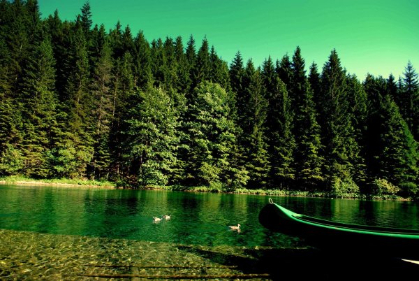 Закат лес река