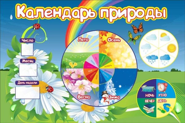 Уголок природы для малышей